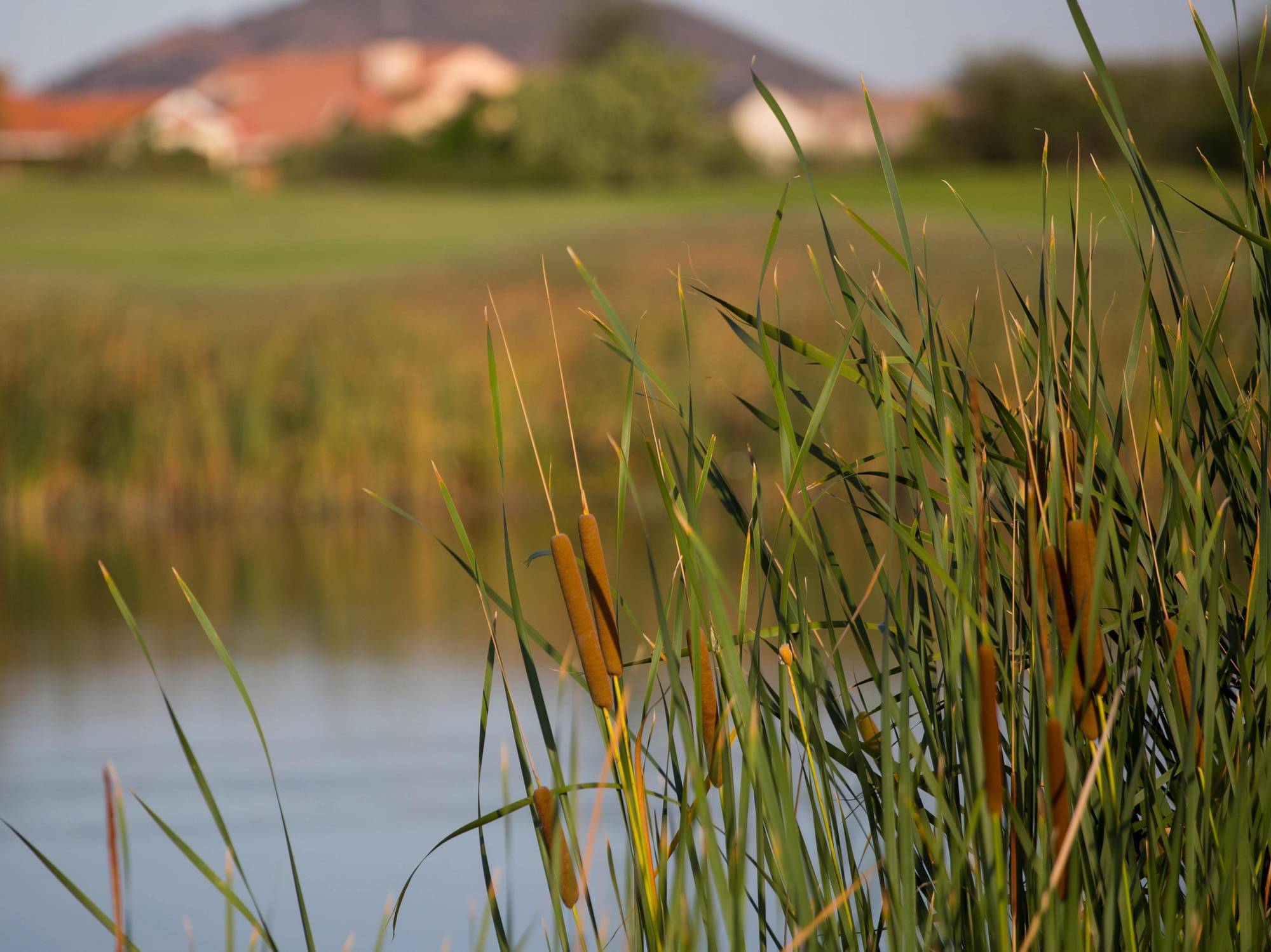 Phakalane Golf Estate Hotel Resort Gaborone Extérieur photo